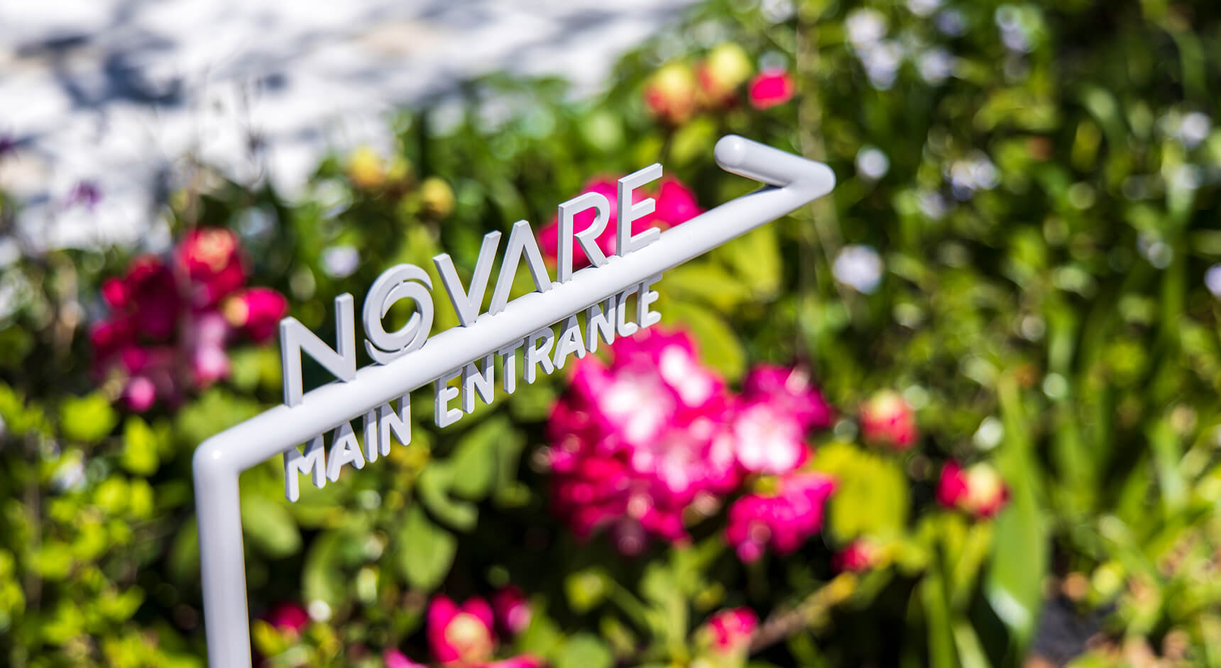 未来を共につくるために。共創の場としてのNOVARE