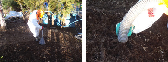 高圧エアで腐葉土層をほぐす状況（左）と土壌の吸引・回収状況
