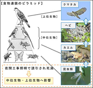 食物連鎖と本システムの基本的な考え方