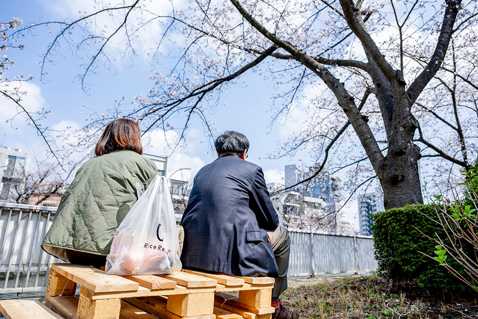 設置されたベンチから桜を見上げる人たち
