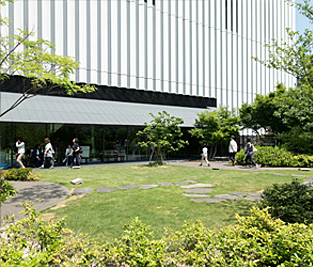 Rooftop garden, approximately 450 m2 in size