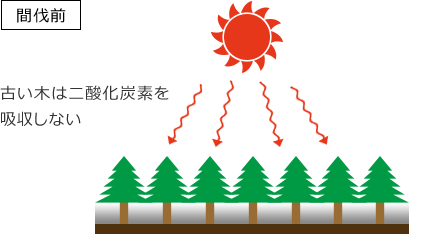 東京木工場 木の魅力を伝えたい 木工のスペシャリスト集団 東京木工場 事業トピックス 清水建設 東京木工場 木の魅力を伝えたい 木工のスペシャリスト集団 東京木工場 事業トピックス 清水建設