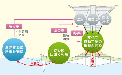 生活ゴミとCO2が、食物を育てる