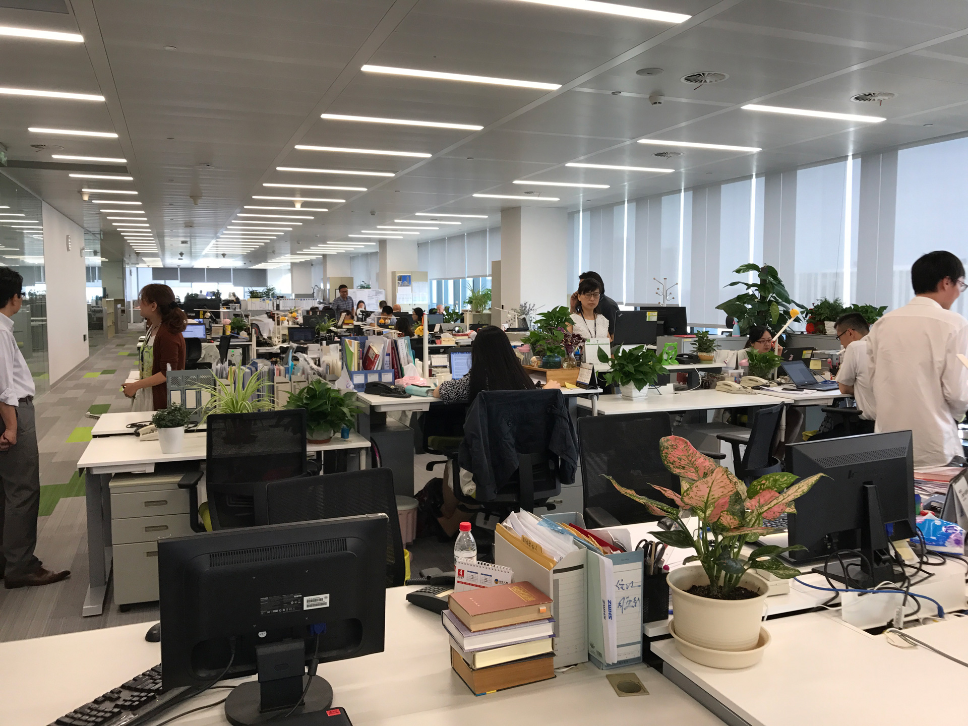 環境とウェルネスで挑む ―清水中国社 上海オフィス