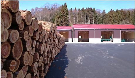 木材と製材加工施設