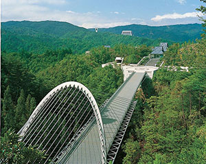 Miho Museum Tunnel, travel places Miho Museum Tunnel, Miho Museum Tunnel  tour destinition list