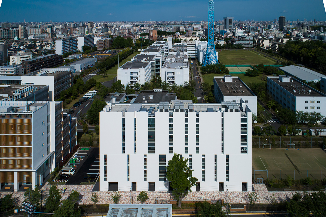 大学 東京 成徳