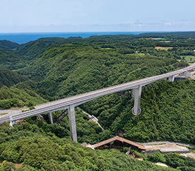 Shiinohanaemi Bridge
