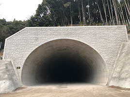 大分212号　跡田トンネル（西工区）