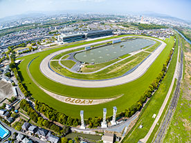 京都競馬場（馬場工区）