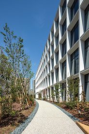 順天堂大学浦安・日の出キャンパス3号館、4号館