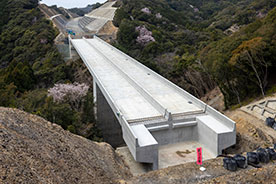一般国道42号すさみ串本道路　東雨川第一橋上部工事